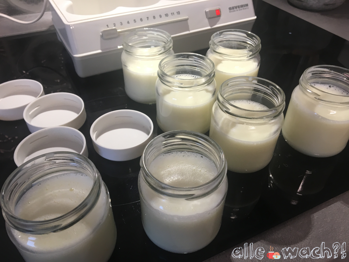Gesunden Joghurt selbst machen Alle wach?!